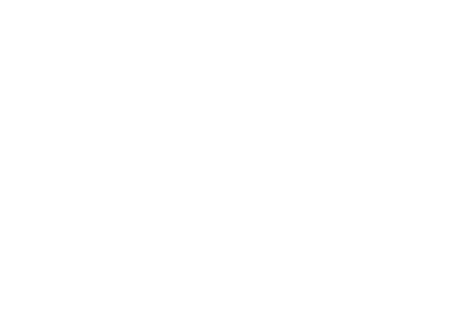 Sticker Vitrine Noël Sapins Cadeaux