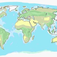 Papier Peint Panoramique Mappemonde Dessin 2