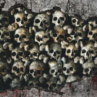 Papier Peint Panoramique Mur de Cranes