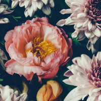 Papier Peint Panoramique Fleurs Vintage 2