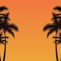 Papier Peint Panoramique Palmier Ombre 2