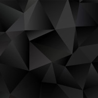 Papier Peint Panoramique Relief Noir