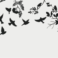 Papier Peint Panoramique Oiseaux