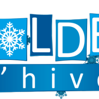 Sticker Soldes d'Hiver vitrine 9