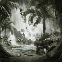 Papier peint Panoramique Paysage Jungle Paysage