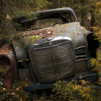 Papier peint Panoramique Epave Voiture Foret