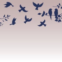 Papier Peint Panoramique Oiseaux 2