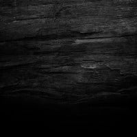 Papier peint Panoramique Bois Noir