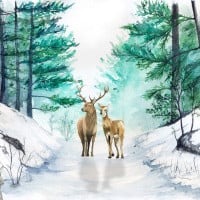 Papier Peint Panoramique Animaux Forêt 2