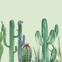 Papier Peint Panoramique Cactus 2