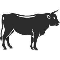 Sticker Ferme Vache 4