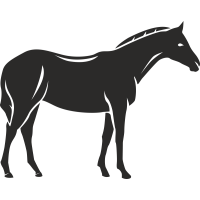 Sticker Ferme Cheval