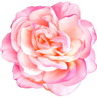 Autocollants Fleur Rose 1