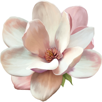 Autocollants Fleur Blanche