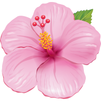 Autocollants Fleur Tropical 3