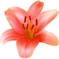 Autocollants Fleur Tropical 6