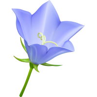 Autocollants Fleur Bleue