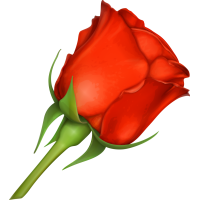 Autocollants Fleur Rose Rouge