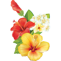 Autocollants Fleur Tropical 7