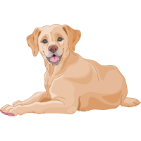 Autocollant Métier Santé Vétérinaire 1