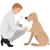 Autocollant Métier Santé Vétérinaire 2