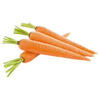 Autocollant Alimentation Légume Carotte 1