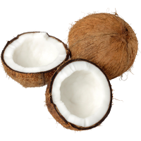 Autocollant Alimentation Fruit Noix De Coco 1