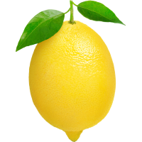 Autocollant Alimentation Fruit Citron 1