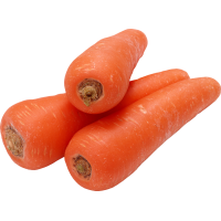 Autocollant Alimentation Légume Carotte 2