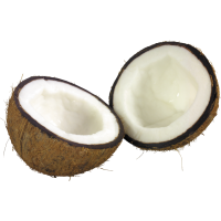 Autocollant Alimentation Fruit Noix De Coco 2