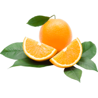Autocollant Alimentation Fruit Orange