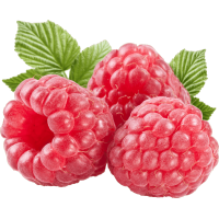 Autocollant Alimentation Fruit Framboises 1