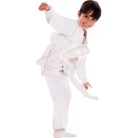 Autocollant Personne Enfant Judo 2