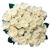 Autocollant Divers Fleur Rose 3