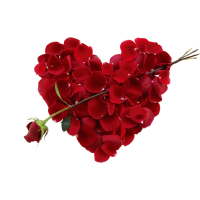 Autocollant Divers Fleur Rose 4