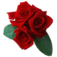 Autocollant Divers Fleur Rose 5