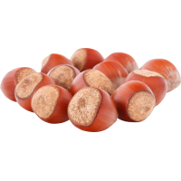 Autocollant Alimentation Noisettes