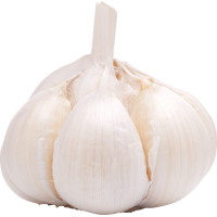 Autocollant Alimentation Oignon Légume