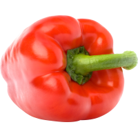 Autocollant Alimentation Poivron Légume