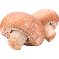 Autocollant Alimentation Champignons