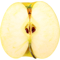 Autocollant Alimentation Pomme Fruit 1