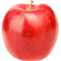 Autocollant Alimentation Pomme Fruit 2