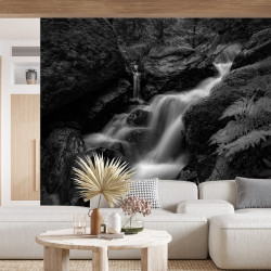 Papier Peint Panoramique Noir et Blanc