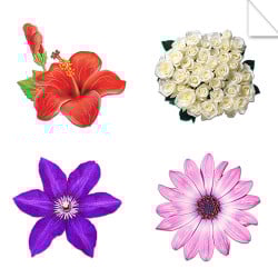 Autocollants Fleurs