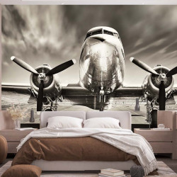 Papier Peint Panoramique Avion