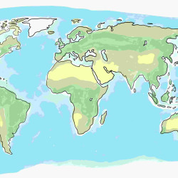 Papier Peint Panoramique Mappemonde Dessin 2 Papier Peint Panoramique Mappemonde Dessin 2