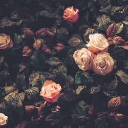 Papier Peint Panoramique Fleurs Vintage