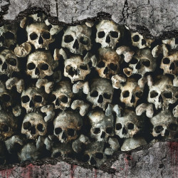 Papier Peint Panoramique Mur de Cranes