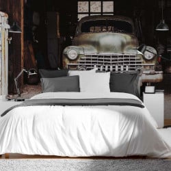 Papier Peint Panoramique Voiture Vintage Garage