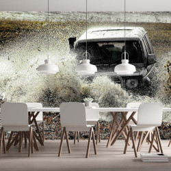 Papier Peint Panoramique 4X4